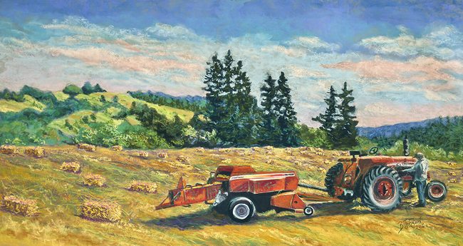 Hay Fields Bill716 Shaun