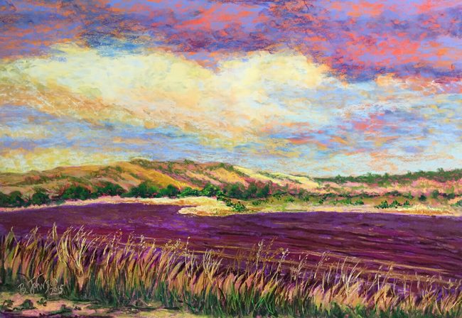 Tilled Fields Capay 715Shaun