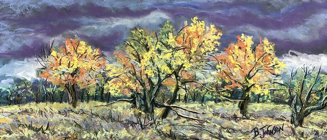 Willows in Wyoming LRWeb